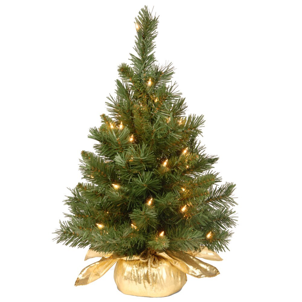 National Tree 24-inch Pre-Lit Mini Christmas Tree
