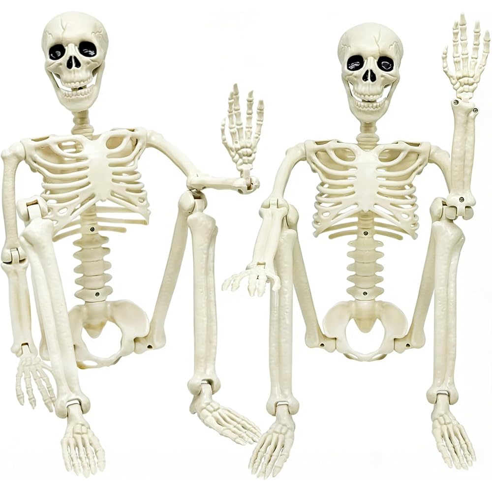 Two posable 36-inch Halloween skeleton decorations